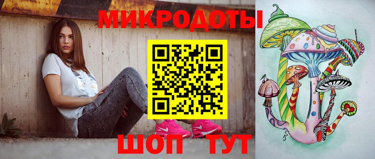 Галлюциногенные грибы Psilocybe Саров